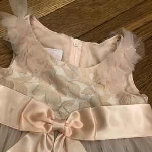 Baby Girl Blush Ballerina dress